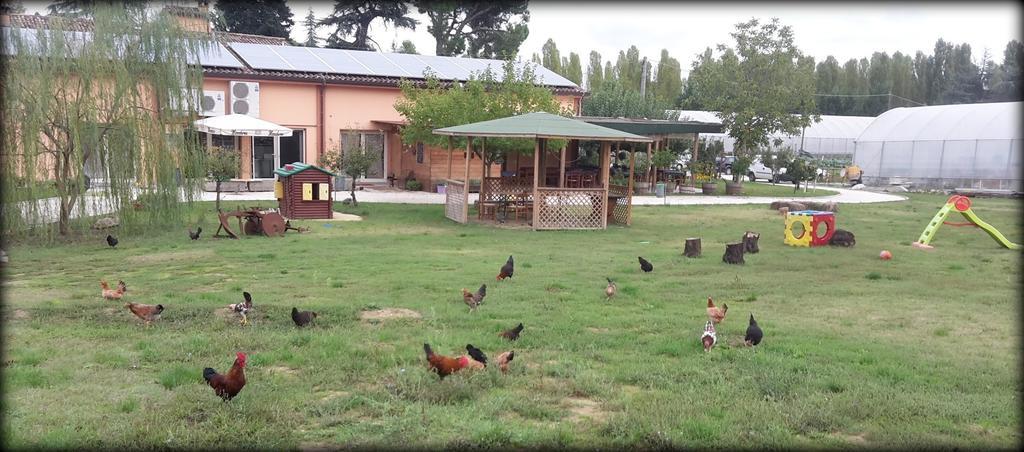 Bed and Breakfast Agriturismo Perugini à Cesena Extérieur photo